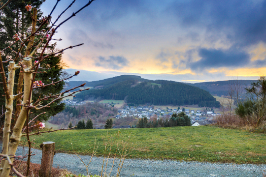 Panorama Hotel Winterberg 6