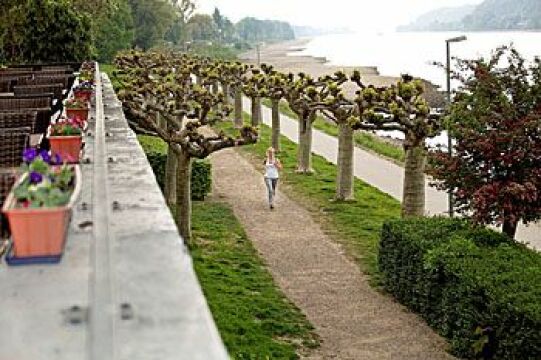 Rheinhotel Vier Jahreszeiten 1